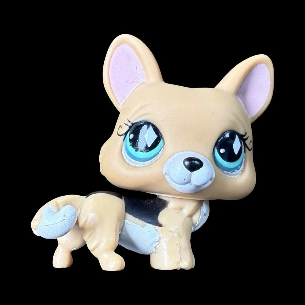 Littlest Pet Shop #724 Tan Black White Corgi Teal Diamond Eyes LPS